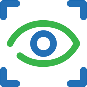 Vision